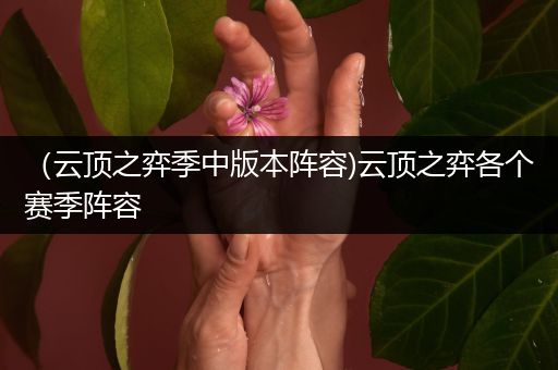 （云顶之弈季中版本阵容)云顶之弈各个赛季阵容