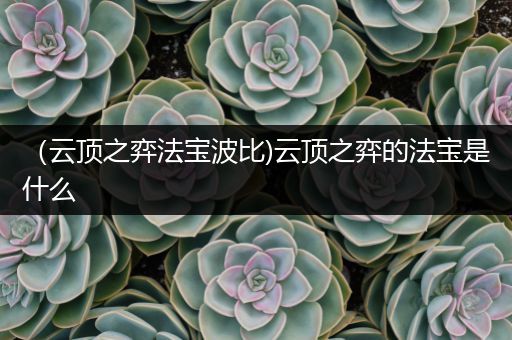 （云顶之弈法宝波比)云顶之弈的法宝是什么