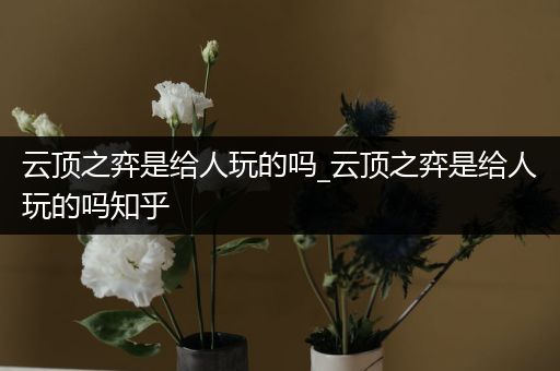 云顶之弈是给人玩的吗_云顶之弈是给人玩的吗知乎