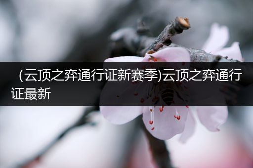 （云顶之弈通行证新赛季)云顶之弈通行证最新