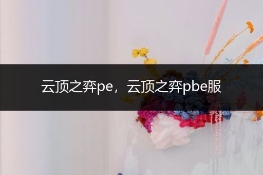 云顶之弈pe，云顶之弈pbe服