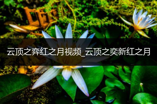 云顶之弈红之月视频_云顶之奕新红之月