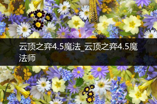 云顶之弈4.5魔法_云顶之弈4.5魔法师