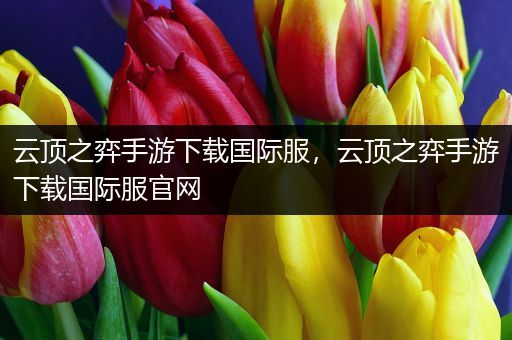 云顶之弈手游下载国际服，云顶之弈手游下载国际服官网