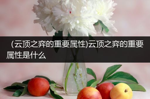（云顶之弈的重要属性)云顶之弈的重要属性是什么