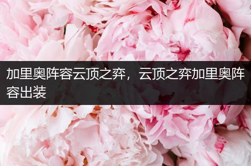 加里奥阵容云顶之弈，云顶之弈加里奥阵容出装