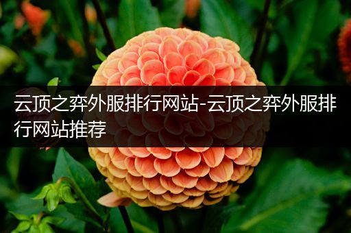 云顶之弈外服排行网站-云顶之弈外服排行网站推荐