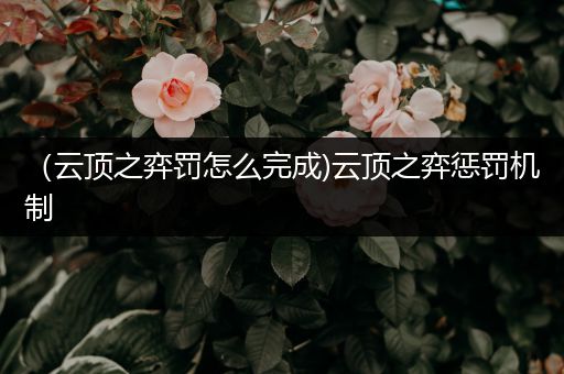 （云顶之弈罚怎么完成)云顶之弈惩罚机制