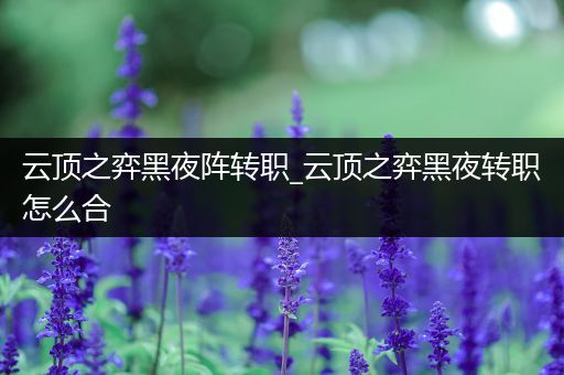 云顶之弈黑夜阵转职_云顶之弈黑夜转职怎么合
