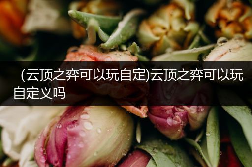 （云顶之弈可以玩自定)云顶之弈可以玩自定义吗