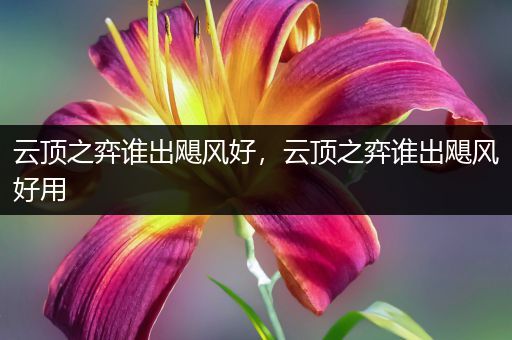 云顶之弈谁出飓风好，云顶之弈谁出飓风好用