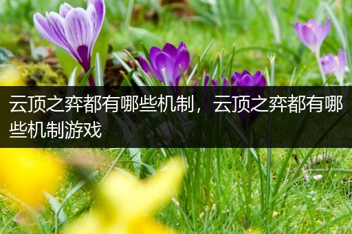 云顶之弈都有哪些机制，云顶之弈都有哪些机制游戏