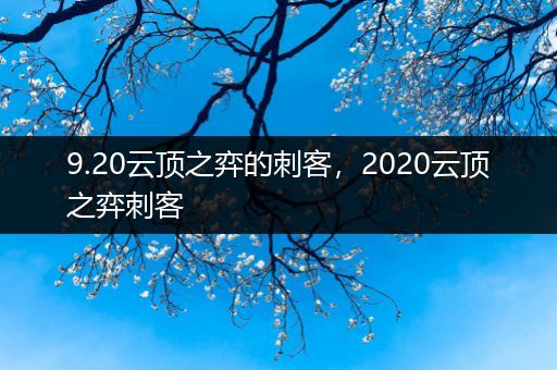 9.20云顶之弈的刺客，2020云顶之弈刺客