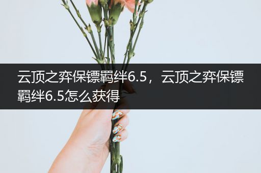 云顶之弈保镖羁绊6.5，云顶之弈保镖羁绊6.5怎么获得