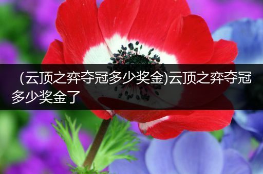 （云顶之弈夺冠多少奖金)云顶之弈夺冠多少奖金了
