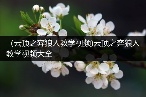 （云顶之弈狼人教学视频)云顶之弈狼人教学视频大全