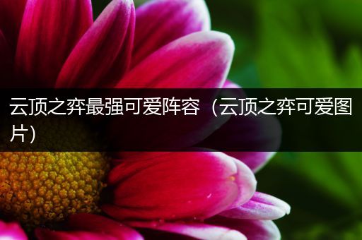 云顶之弈最强可爱阵容（云顶之弈可爱图片）