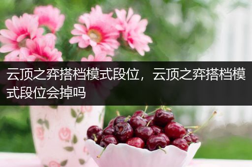 云顶之弈搭档模式段位，云顶之弈搭档模式段位会掉吗