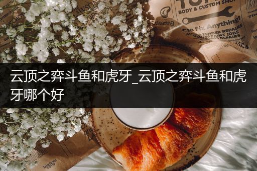 云顶之弈斗鱼和虎牙_云顶之弈斗鱼和虎牙哪个好