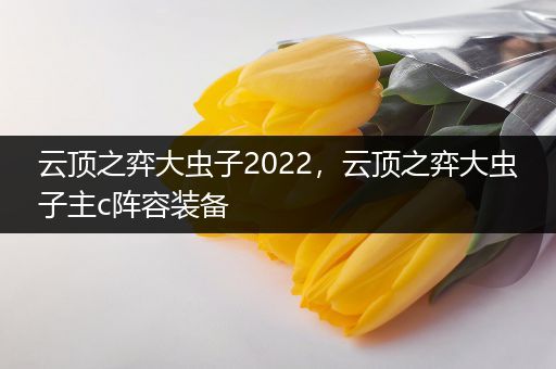 云顶之弈大虫子2022，云顶之弈大虫子主c阵容装备