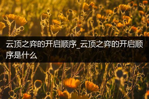 云顶之弈的开启顺序_云顶之弈的开启顺序是什么