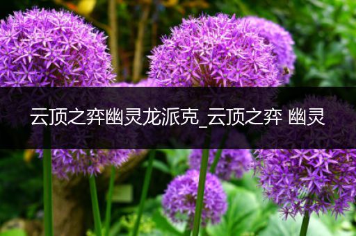 云顶之弈幽灵龙派克_云顶之弈 幽灵