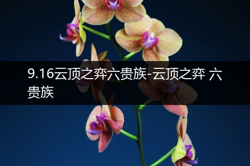 9.16云顶之弈六贵族-云顶之弈 六贵族
