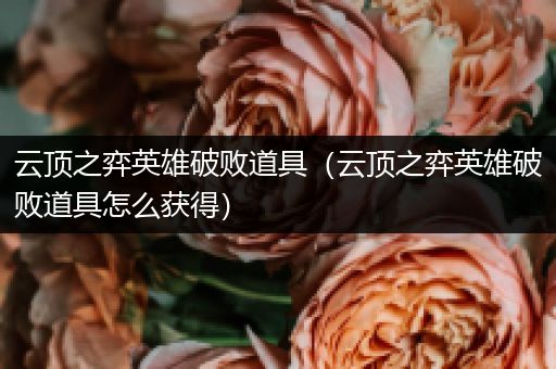 云顶之弈英雄破败道具（云顶之弈英雄破败道具怎么获得）
