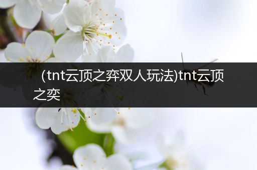 （tnt云顶之弈双人玩法)tnt云顶之奕