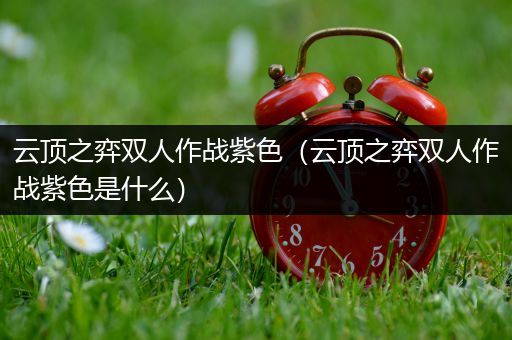 云顶之弈双人作战紫色（云顶之弈双人作战紫色是什么）