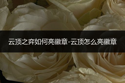 云顶之弈如何亮徽章-云顶怎么亮徽章