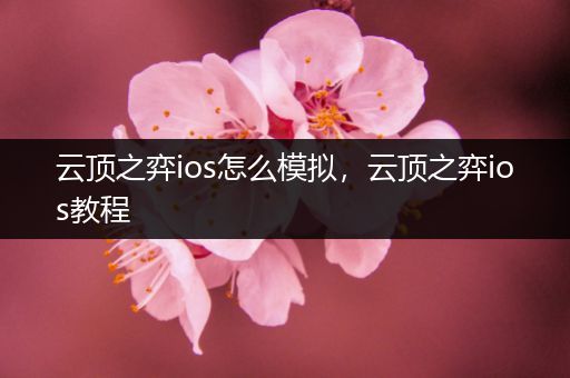 云顶之弈ios怎么模拟，云顶之弈ios教程