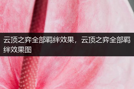 云顶之弈全部羁绊效果，云顶之弈全部羁绊效果图