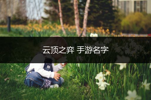 云顶之弈 手游名字