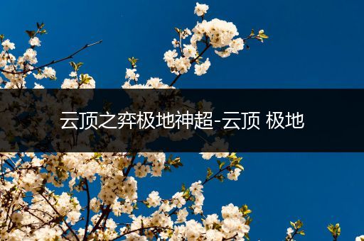 云顶之弈极地神超-云顶 极地