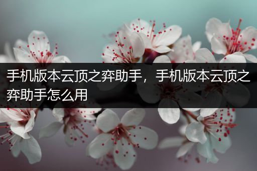 手机版本云顶之弈助手，手机版本云顶之弈助手怎么用
