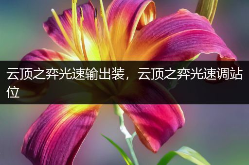 云顶之弈光速输出装，云顶之弈光速调站位