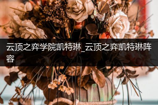 云顶之弈学院凯特琳_云顶之弈凯特琳阵容