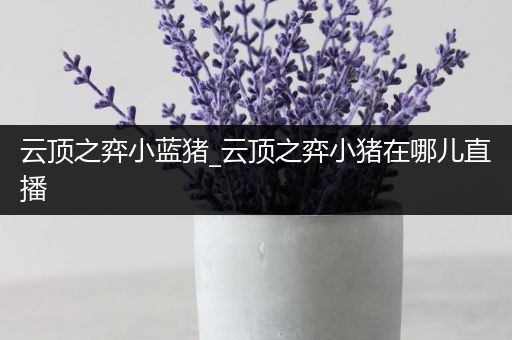 云顶之弈小蓝猪_云顶之弈小猪在哪儿直播