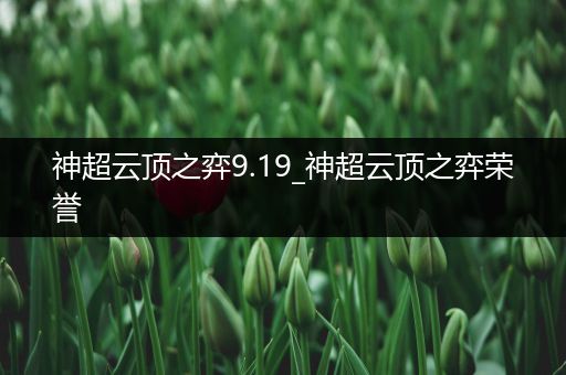 神超云顶之弈9.19_神超云顶之弈荣誉