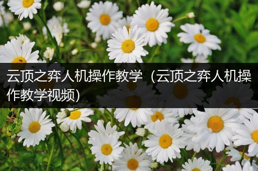 云顶之弈人机操作教学（云顶之弈人机操作教学视频）