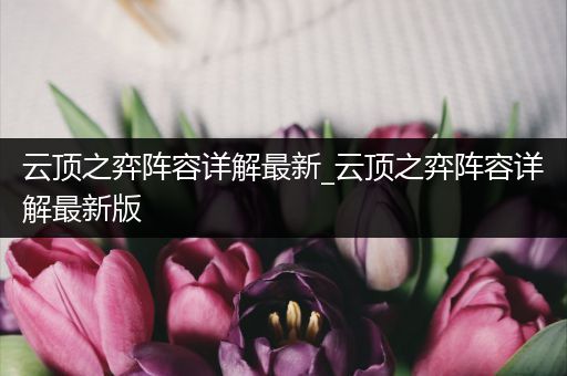 云顶之弈阵容详解最新_云顶之弈阵容详解最新版