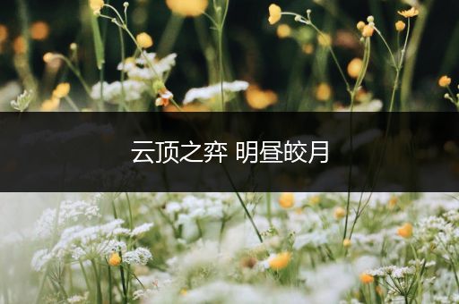 云顶之弈 明昼皎月