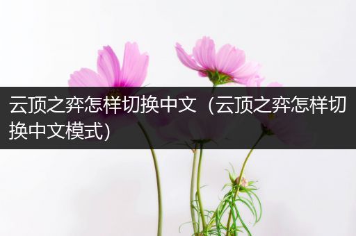 云顶之弈怎样切换中文（云顶之弈怎样切换中文模式）