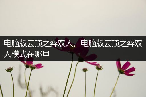电脑版云顶之弈双人，电脑版云顶之弈双人模式在哪里
