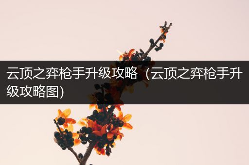 云顶之弈枪手升级攻略（云顶之弈枪手升级攻略图）