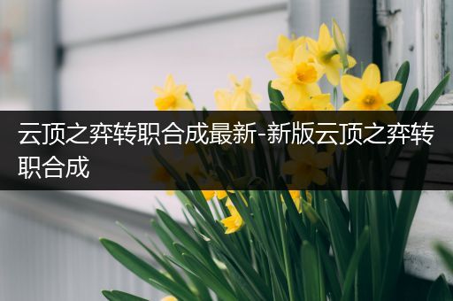 云顶之弈转职合成最新-新版云顶之弈转职合成