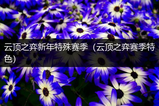 云顶之弈新年特殊赛季（云顶之弈赛季特色）