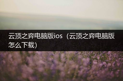 云顶之弈电脑版ios（云顶之弈电脑版怎么下载）