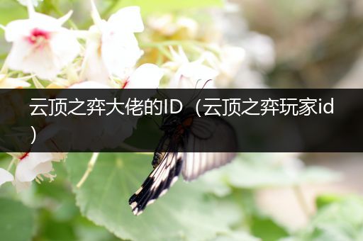 云顶之弈大佬的ID（云顶之弈玩家id）